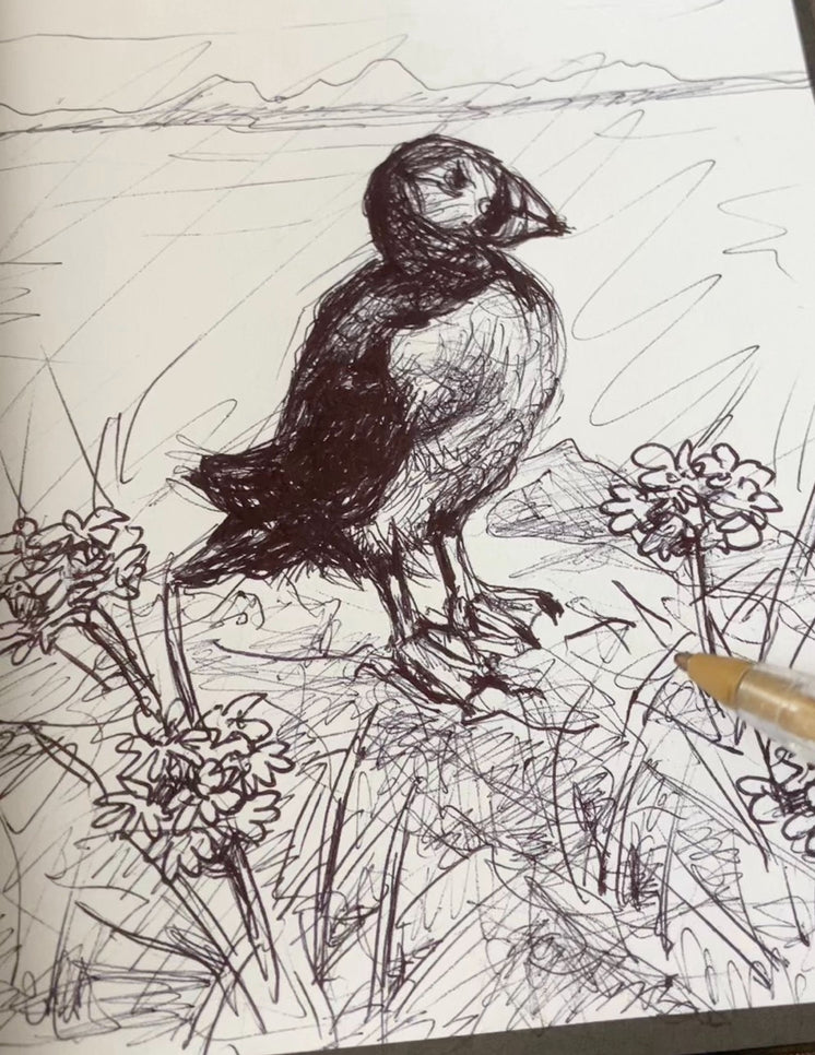 Puffin drawing by Pa-pa Jewellery