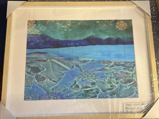 Three Cliffs Bay print with sea holly
