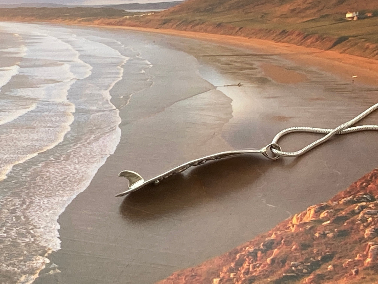 Silver worms head longboard surfboard
