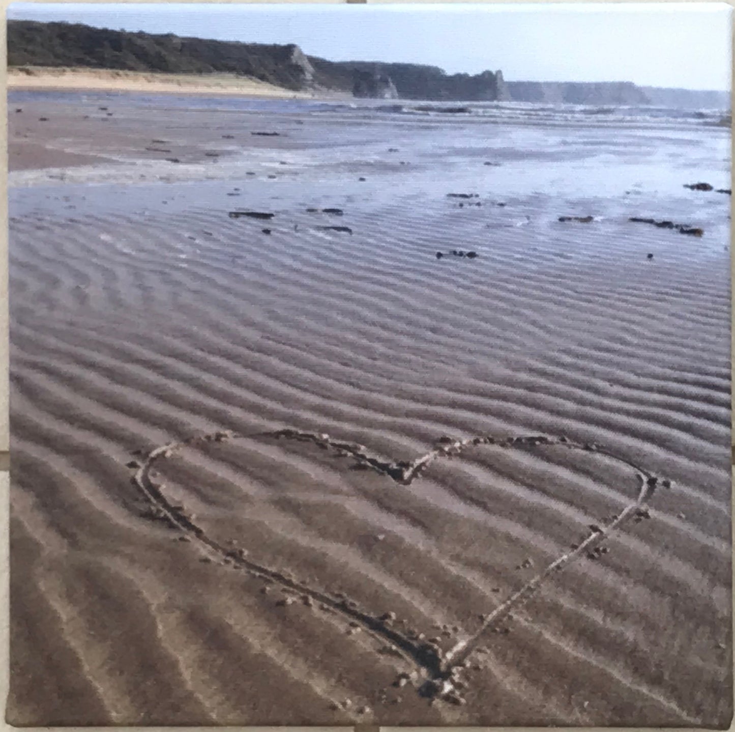 Tor Bay canvas print