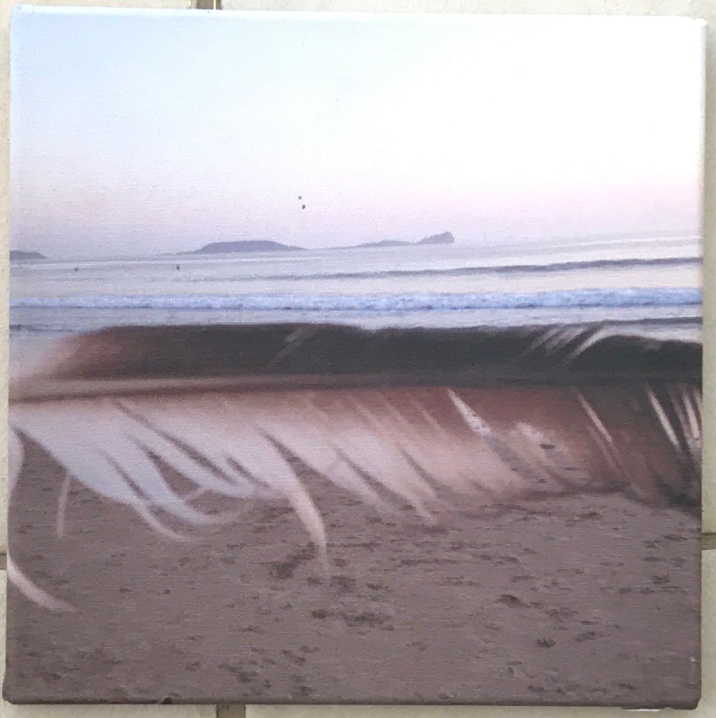 Worm's Head canvas print