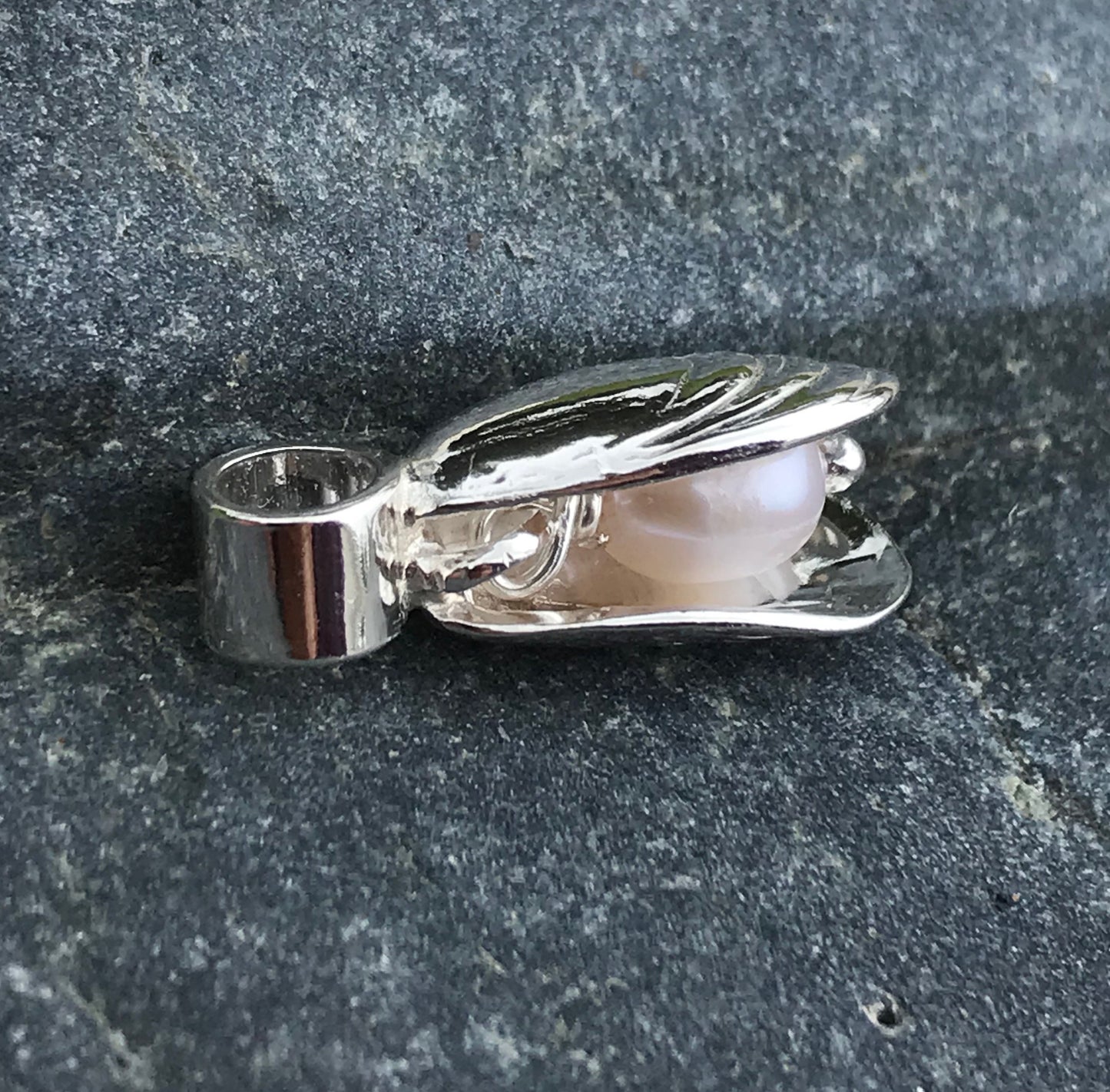 Mussel shell and pearl silver charm