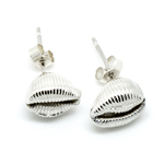 Cowrie stud earrings