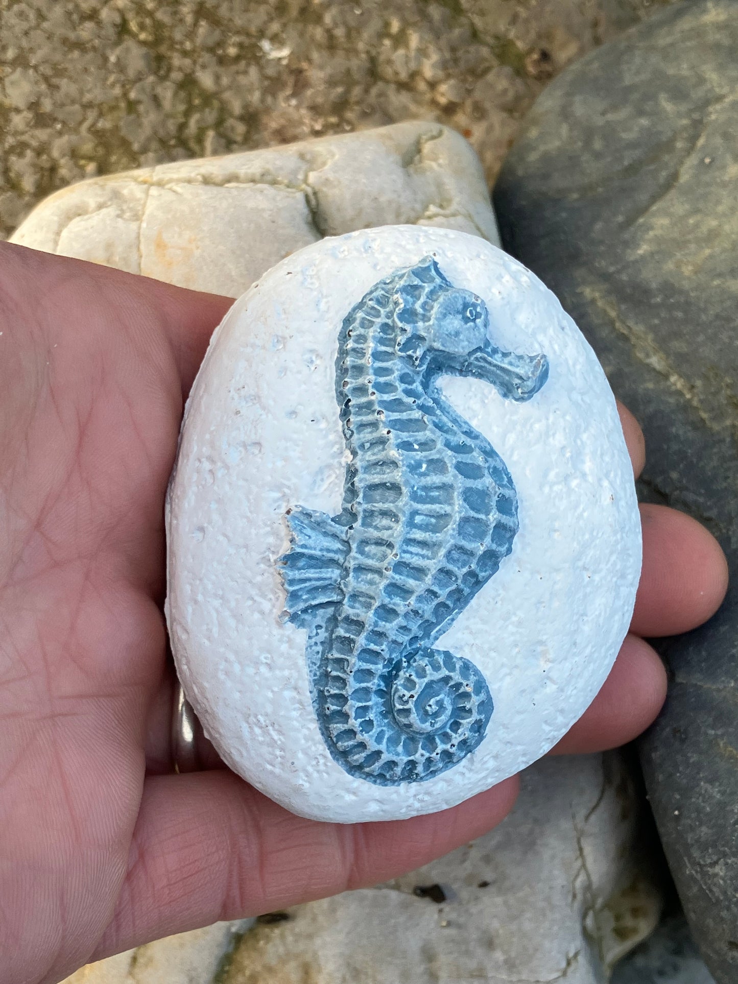 Seahorse resin pebble
