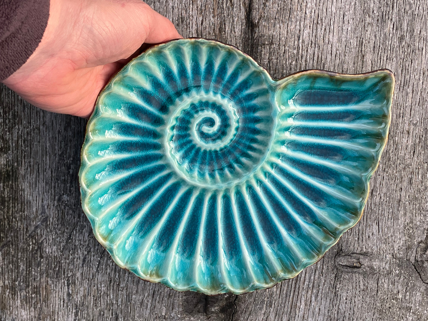 Ammonite ceramic plate