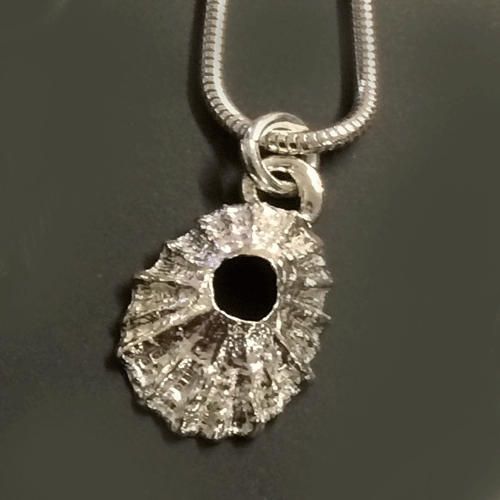 Solid silver limpet shell necklace
