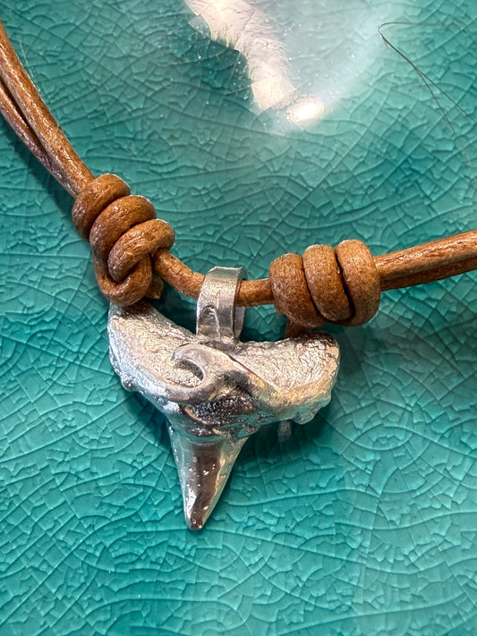 sharks tooth pendant