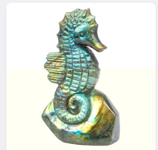 Seahorse labradorite stone sculpture
