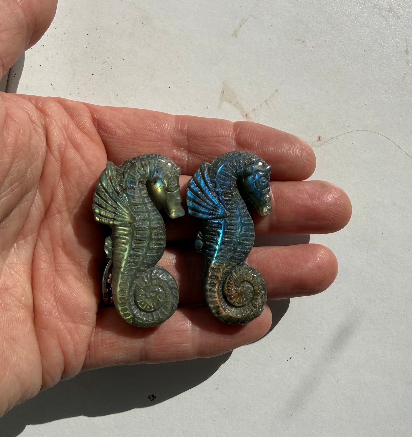 Seahorse labradorite stone sculpture