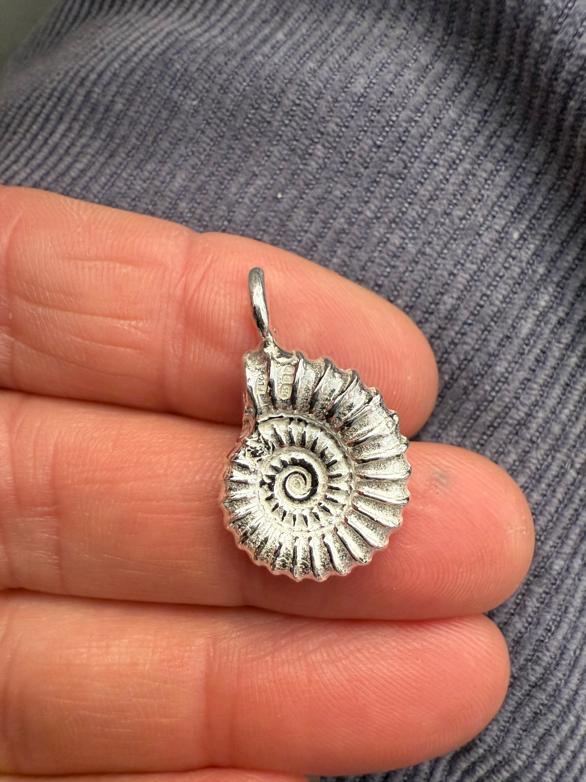ammonite solid silver charm