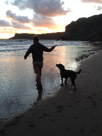 Mewslade Bay dog walk card