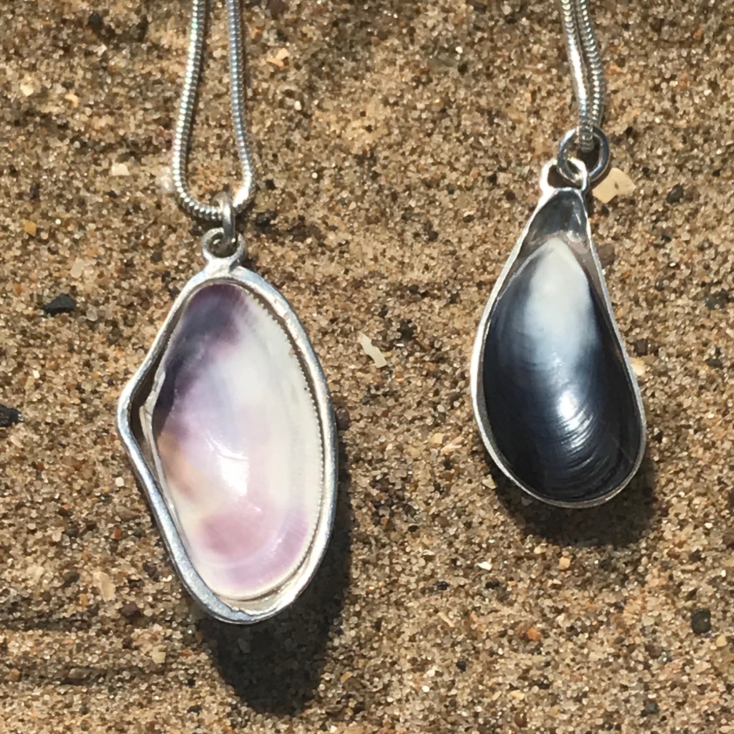 pipi and mussel shells in silver