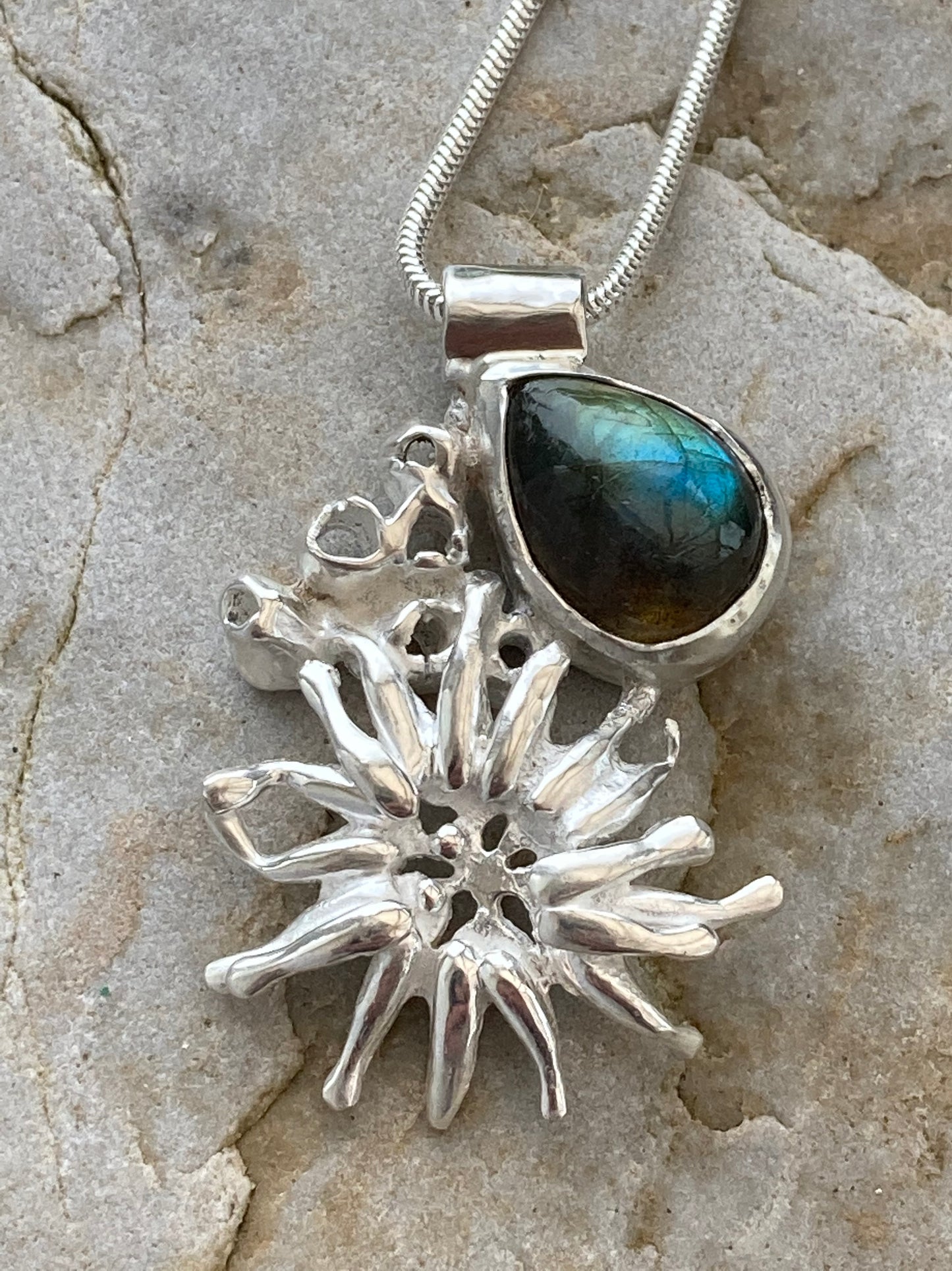 Sea anemone with barnacles and labradorite