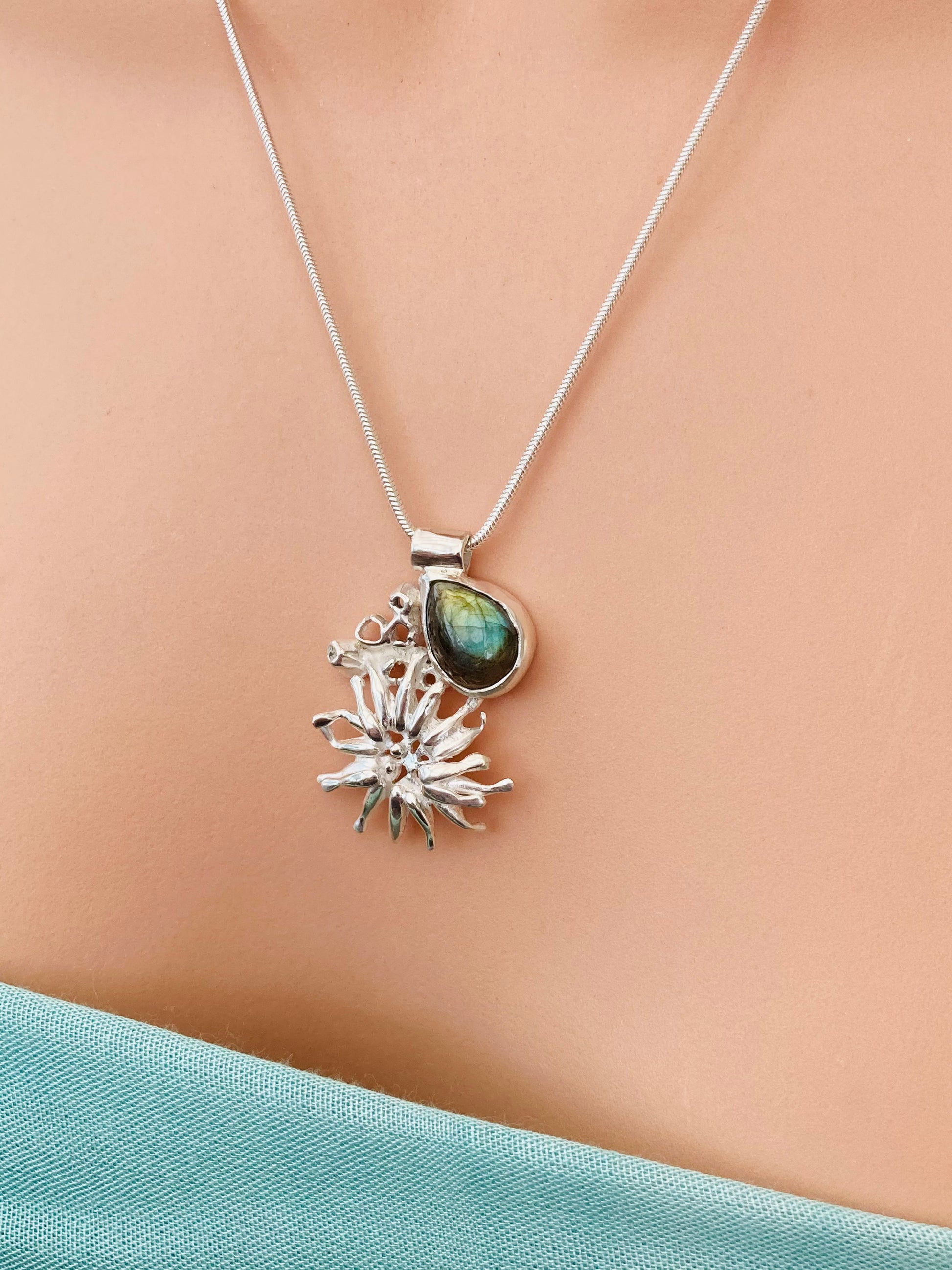Sea anemone with barnacles and labradorite