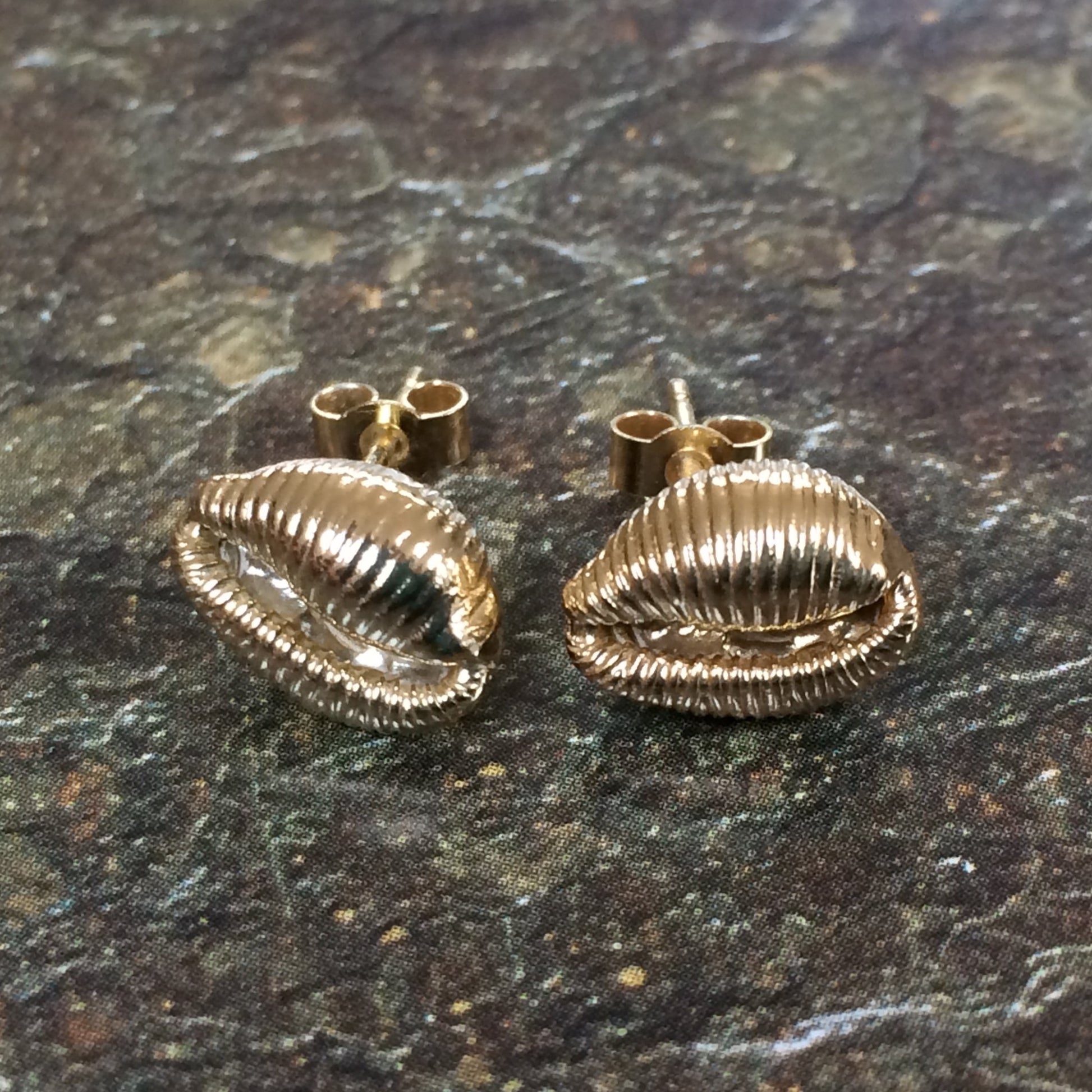 Gold cowrie stud earrings