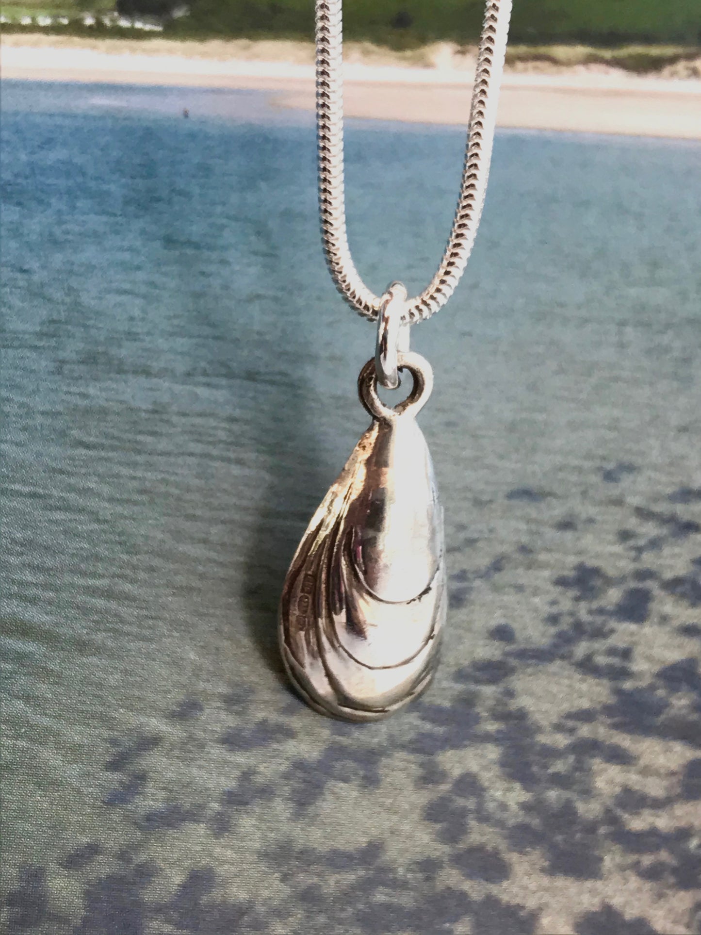 blue mussel shell necklace