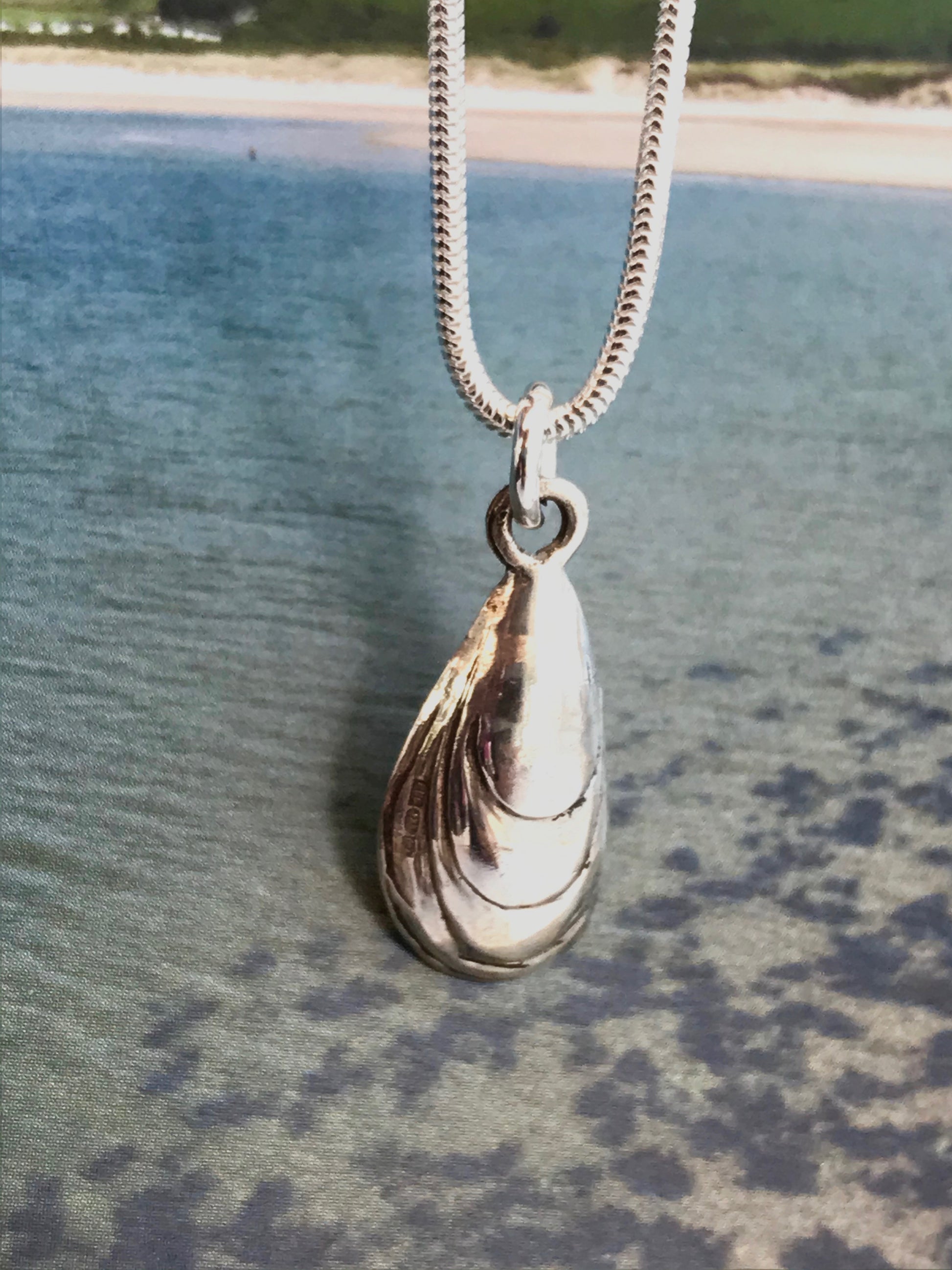 blue mussel shell necklace