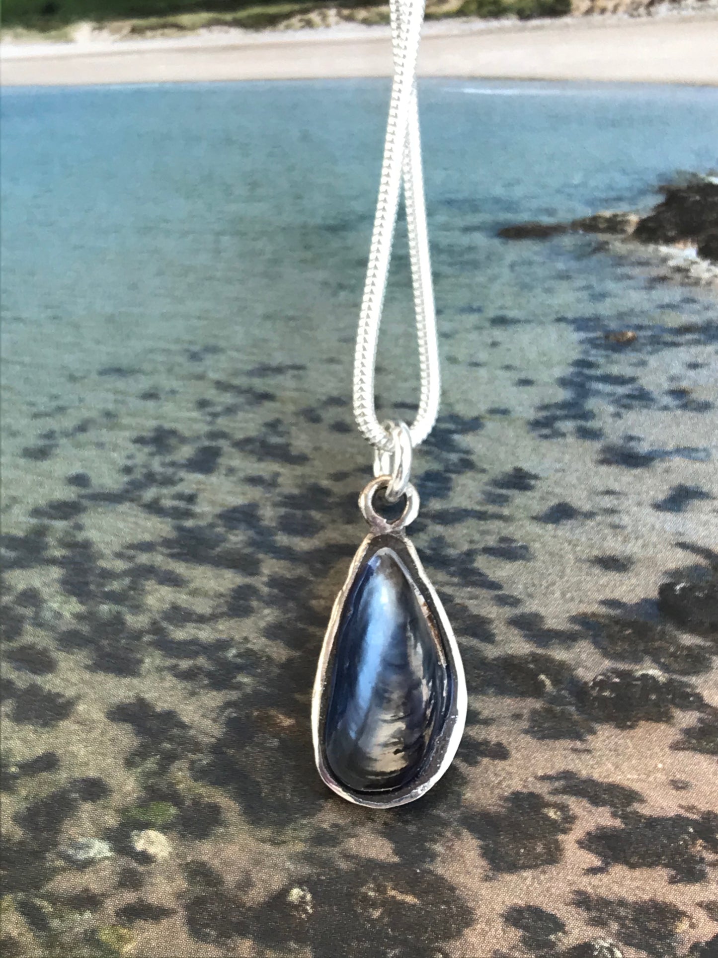 blue mussel shell necklace
