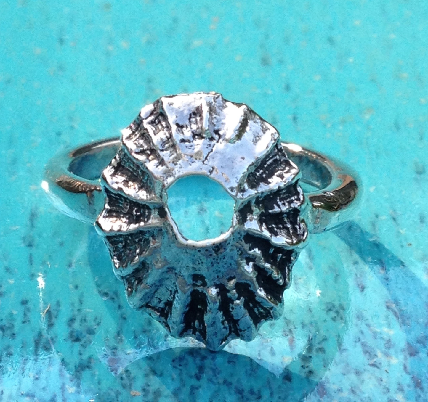 Limpet shell ring by Pa-pa jewelley