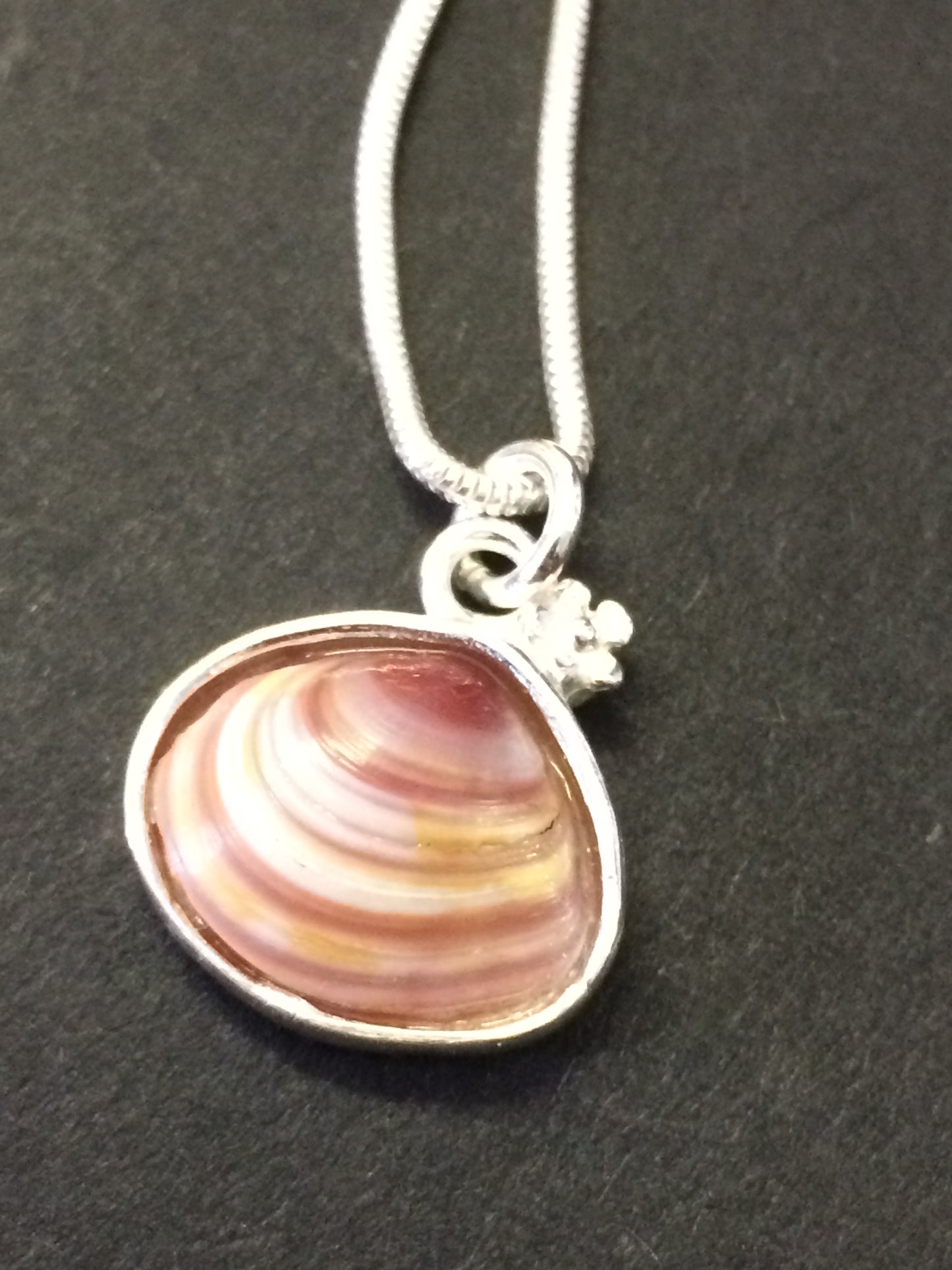 Silver real pink clam shell necklace