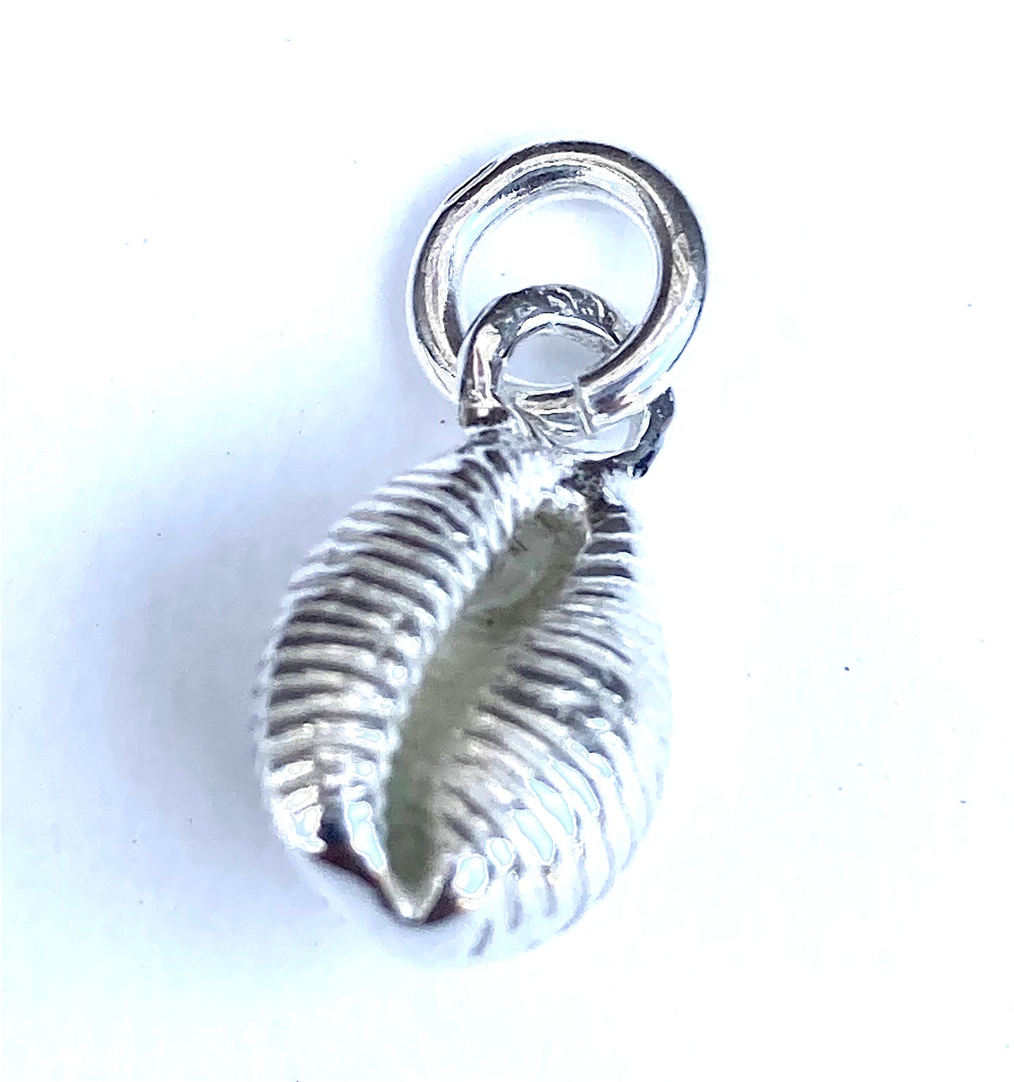 Silver cowrie shell charm