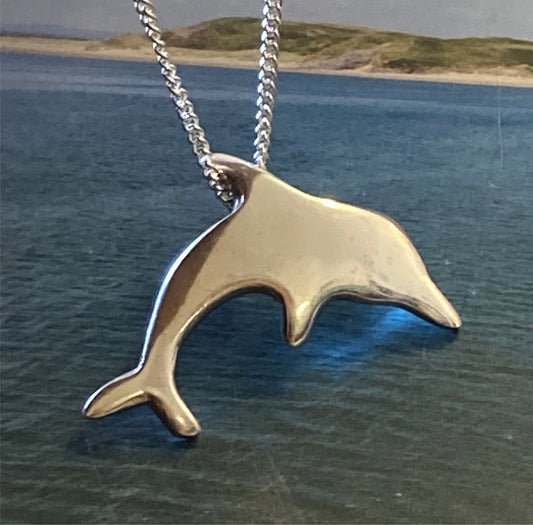 Silver dolphin necklace