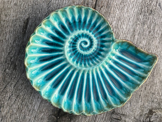 Ammonite ceramic plate