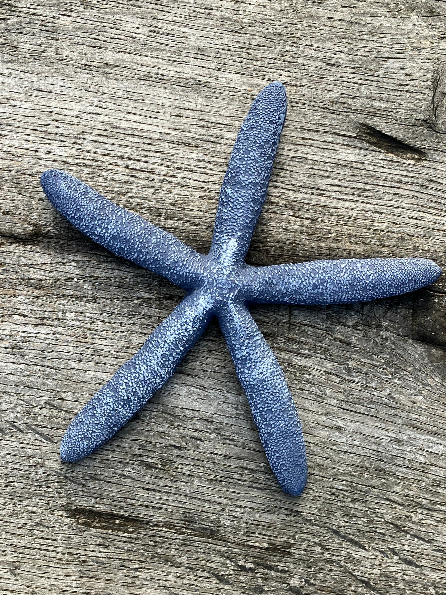Resin starfish