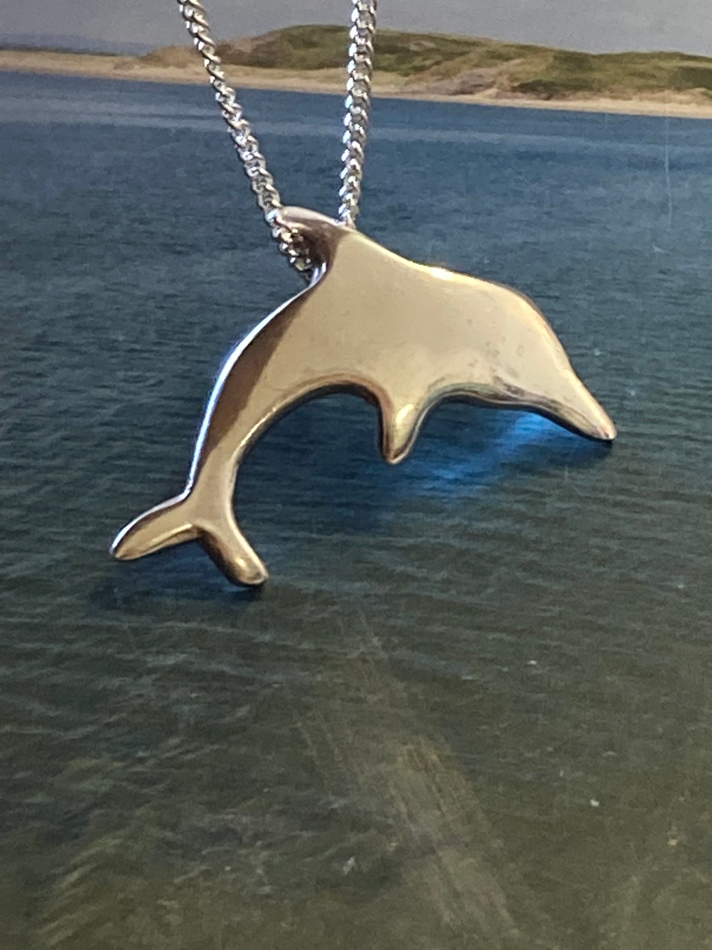 Silver dolphin necklace