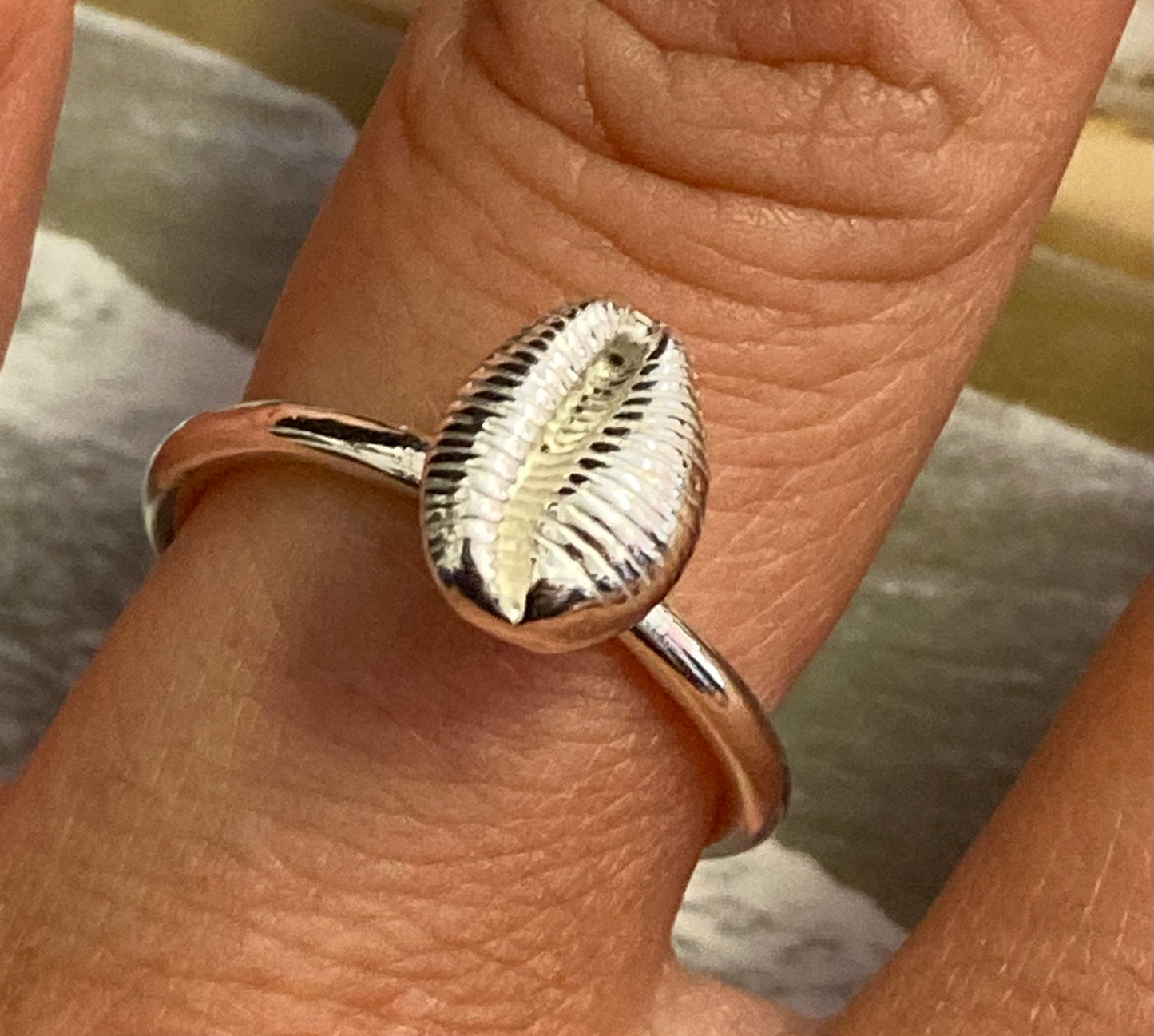 Silver cowrie ring