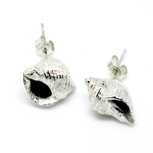 Silver whelk stud earrings by Pa-pa